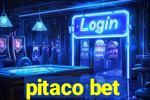 pitaco bet